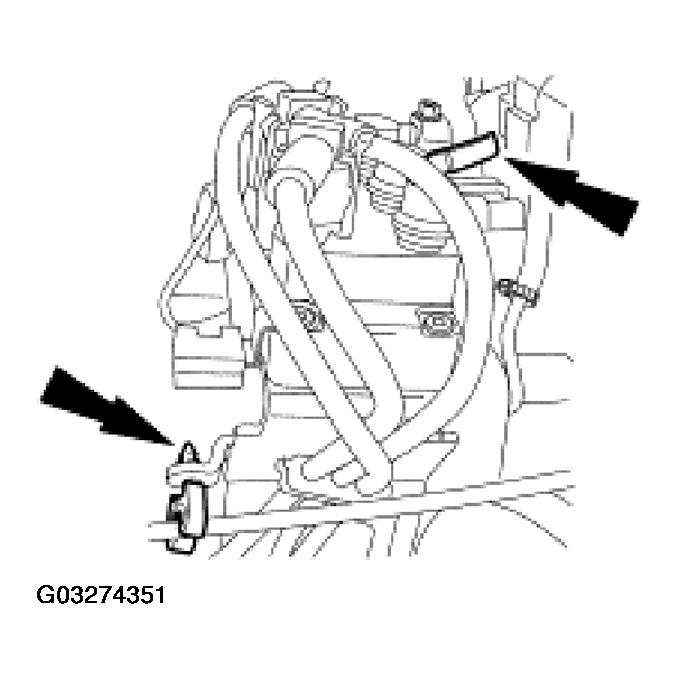 G03274351