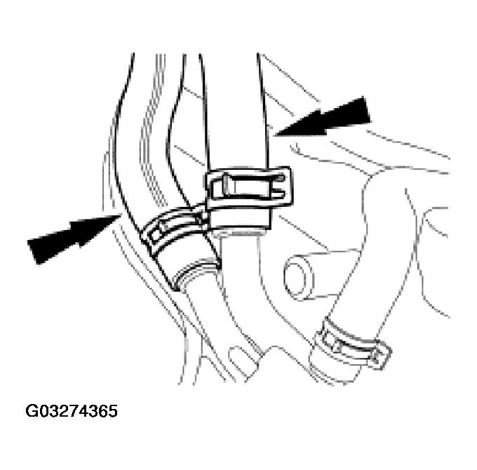G03274365