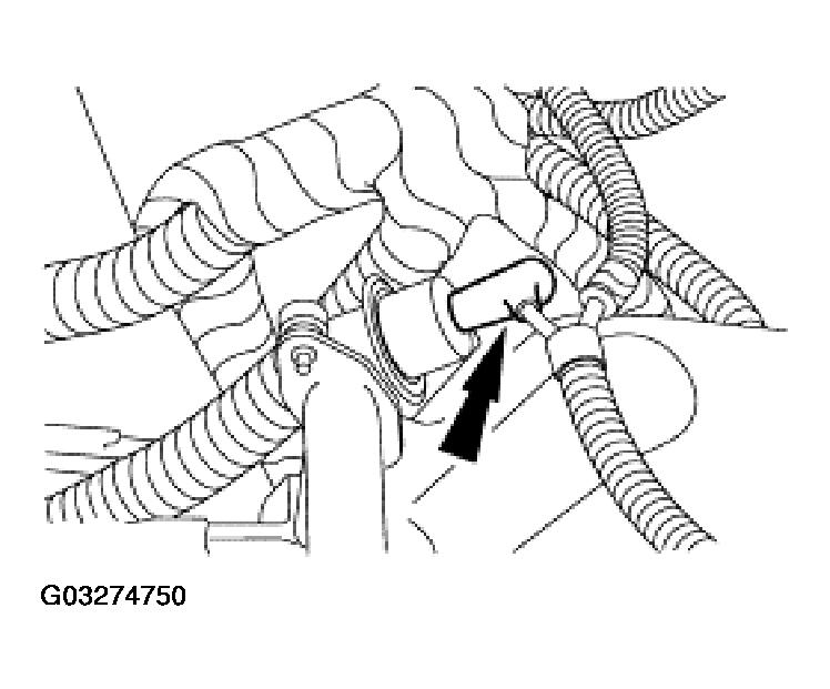 G03274750