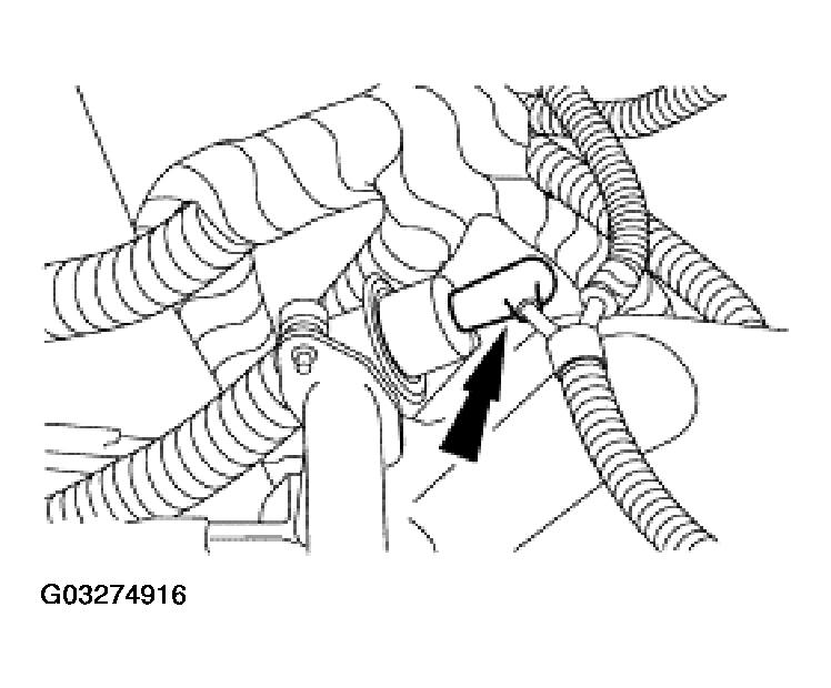 G03274916