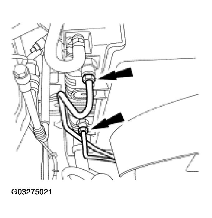 G03275021