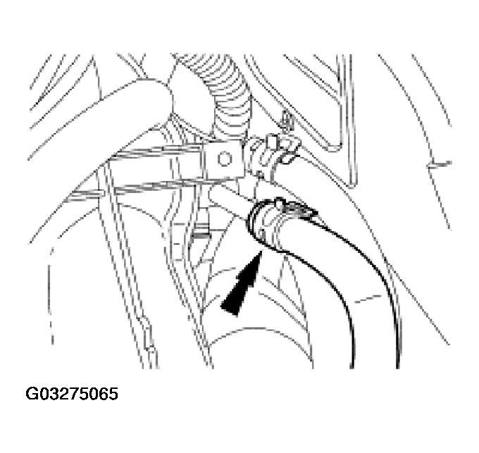 G03275065