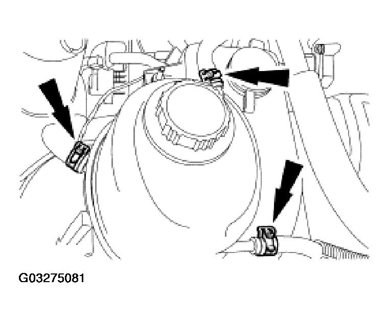 G03275081