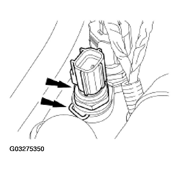 G03275350