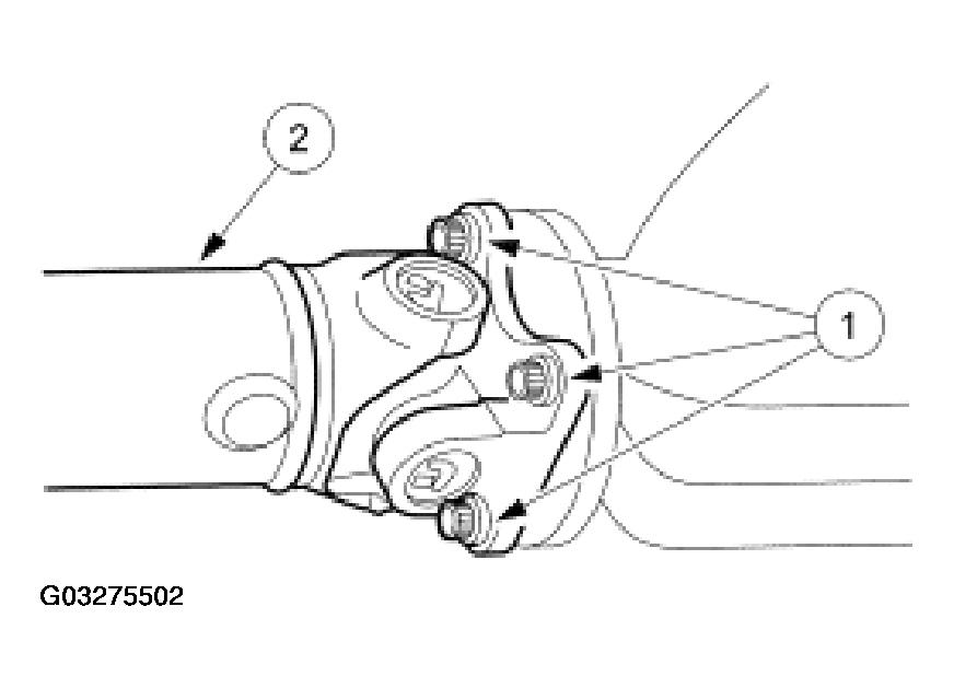G03275502