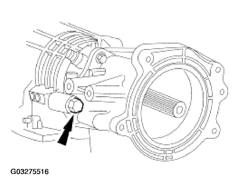 G03275516