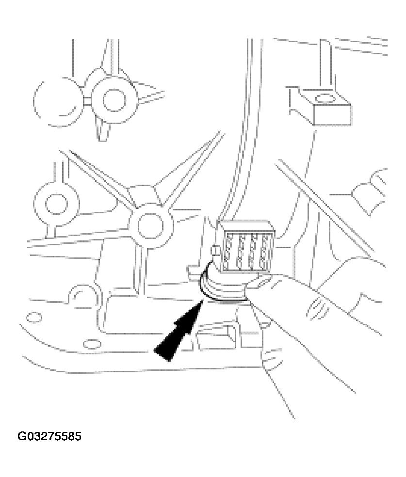 G03275585