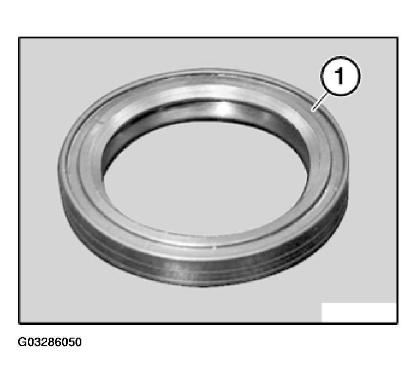 G03286050
