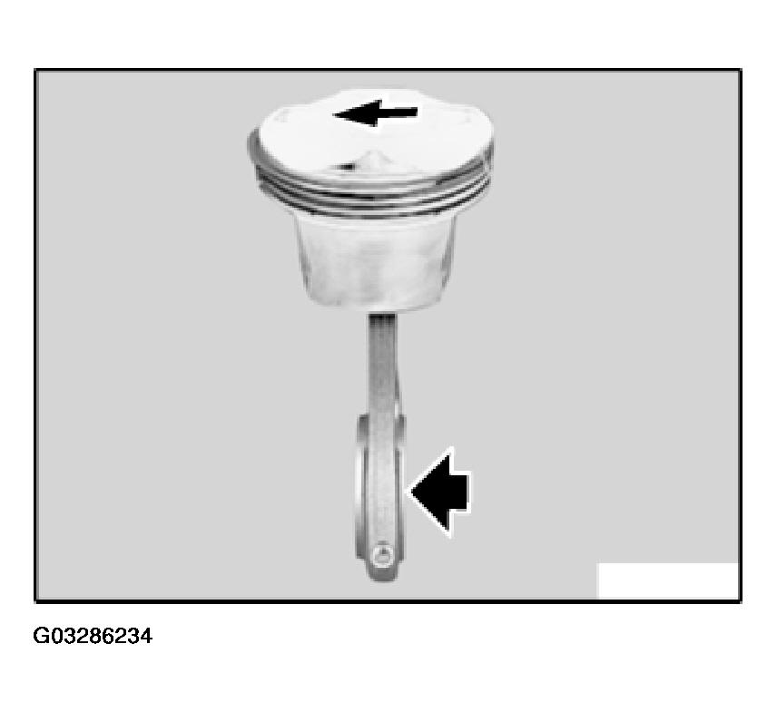 G03286234
