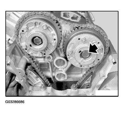 G03286686