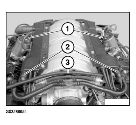 G03286954