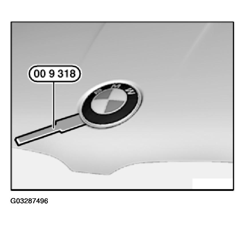 G03287496