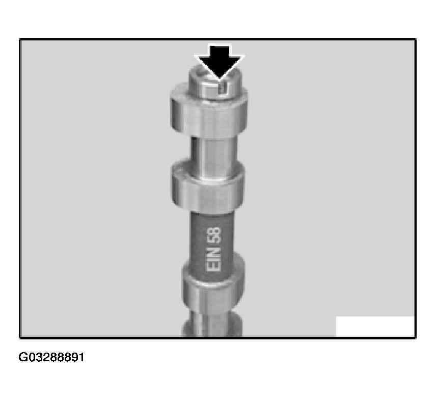 G03288891
