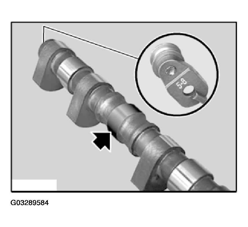 G03289584