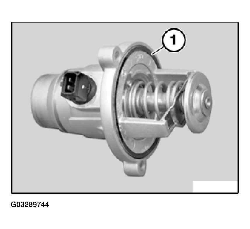 G03289744