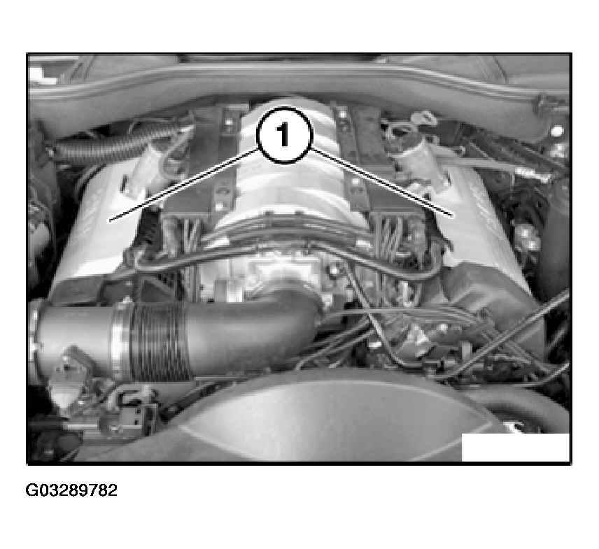 G03289782