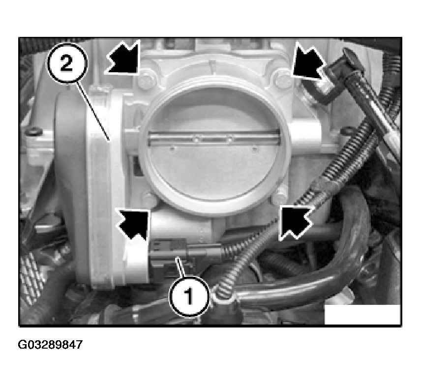 G03289847
