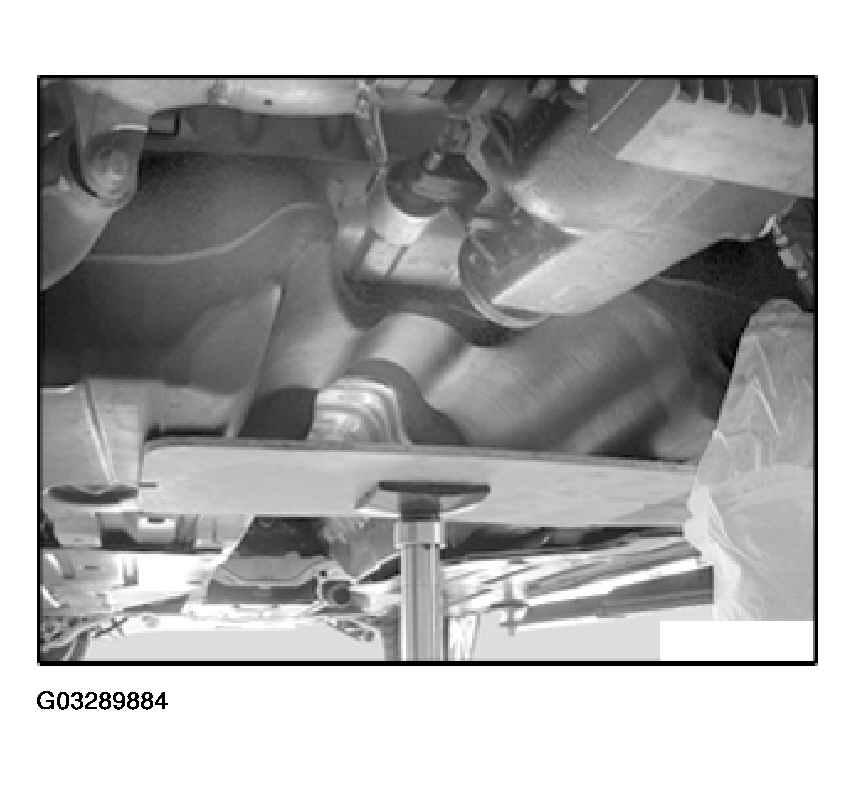 G03289884