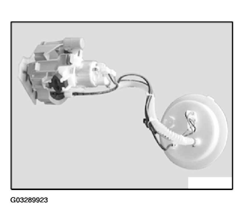 G03289923