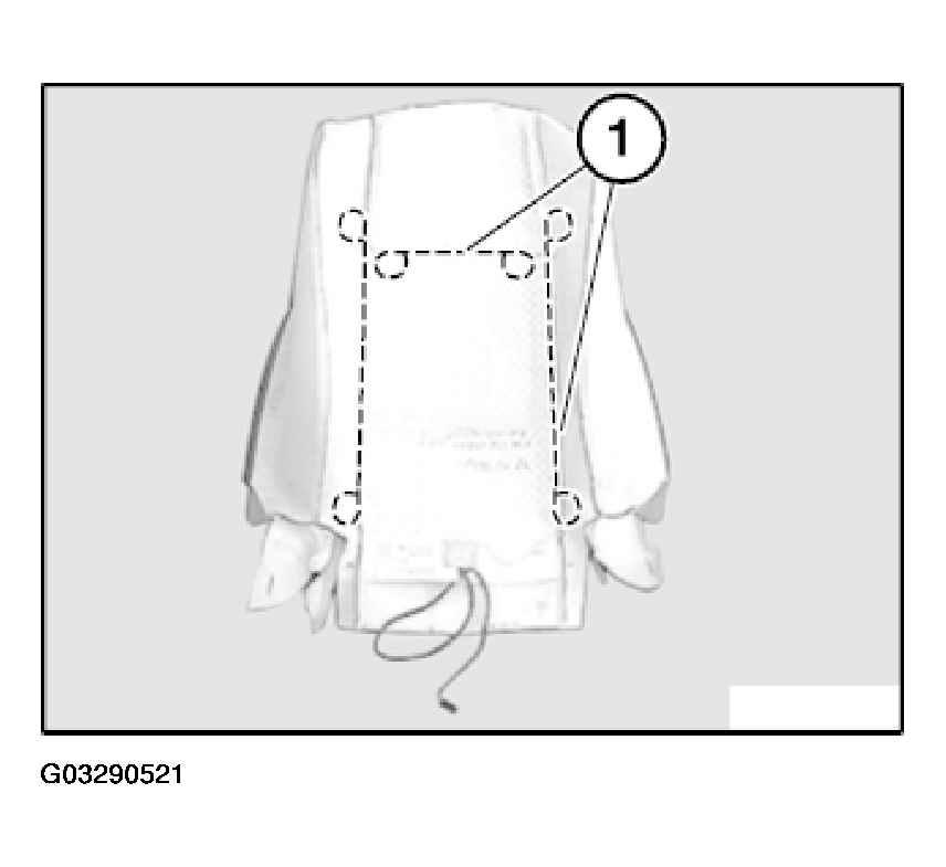 G03290521