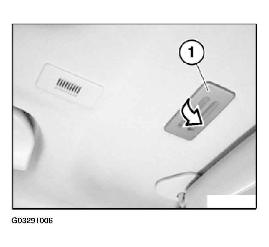 G03291006