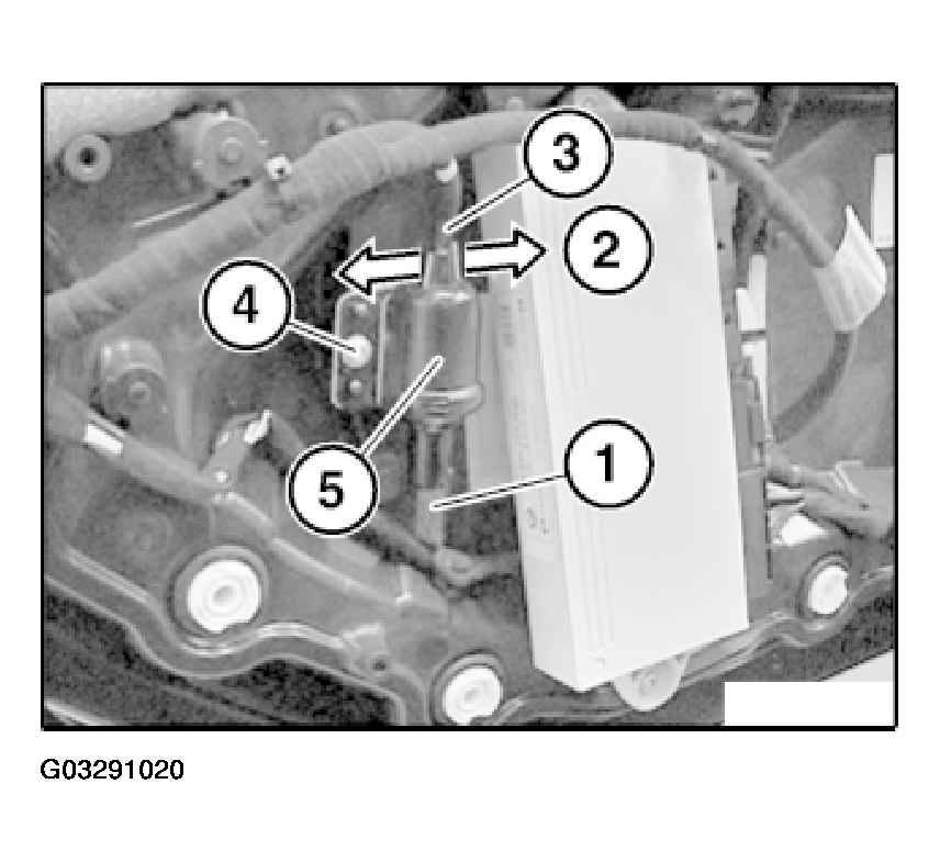 G03291020