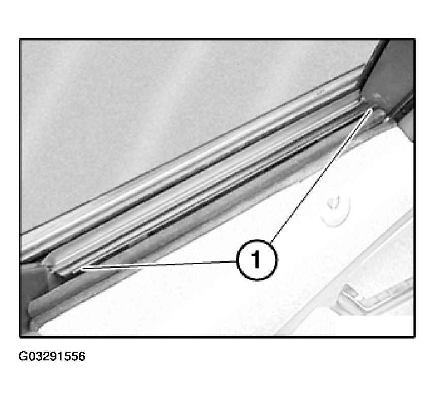 G03291556
