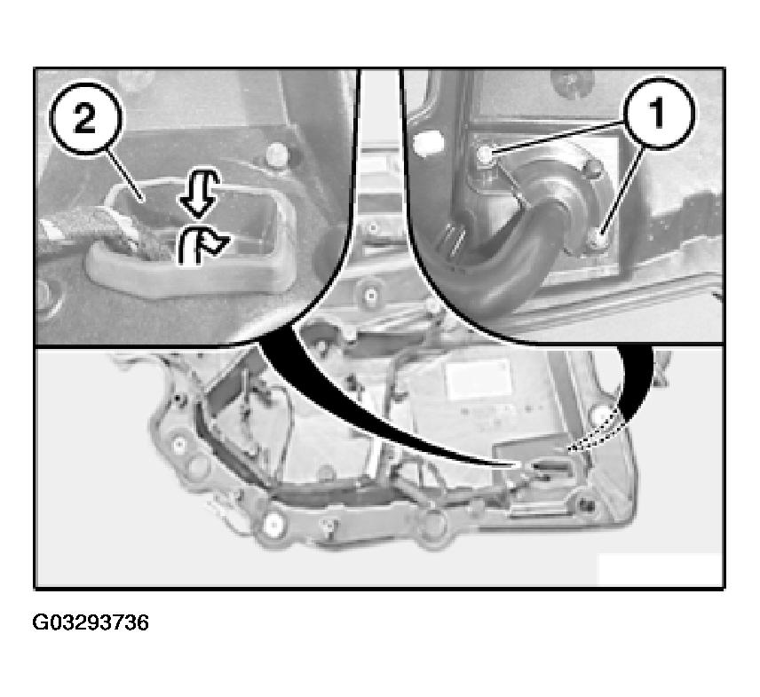 G03293736