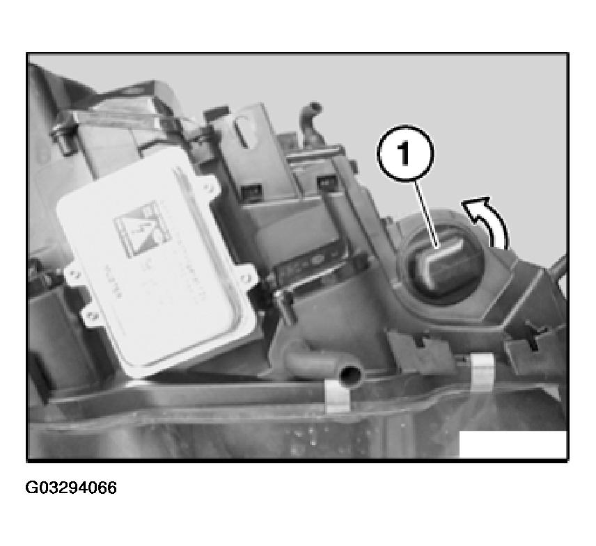 G03294066