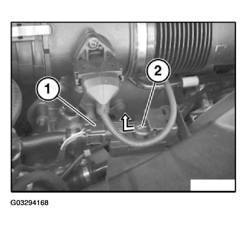 G03294168