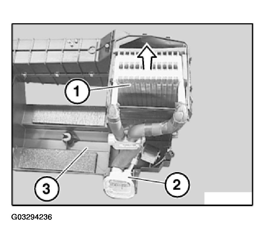 G03294236