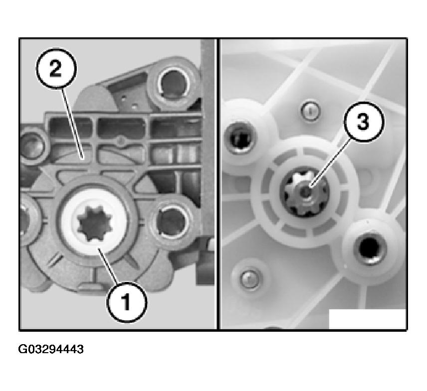 G03294443