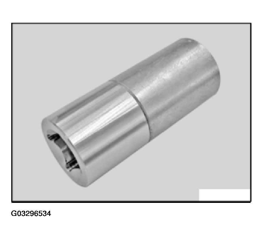 G03296534