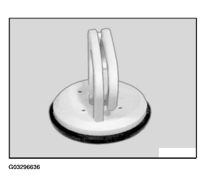 G03296636