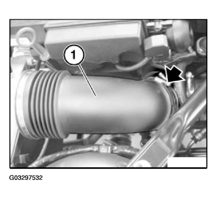 G03297532
