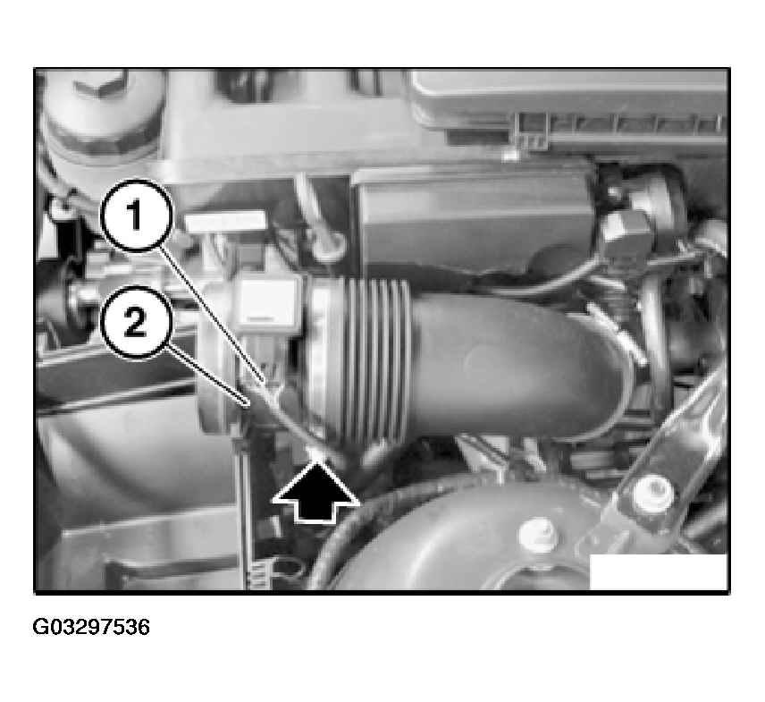 G03297536