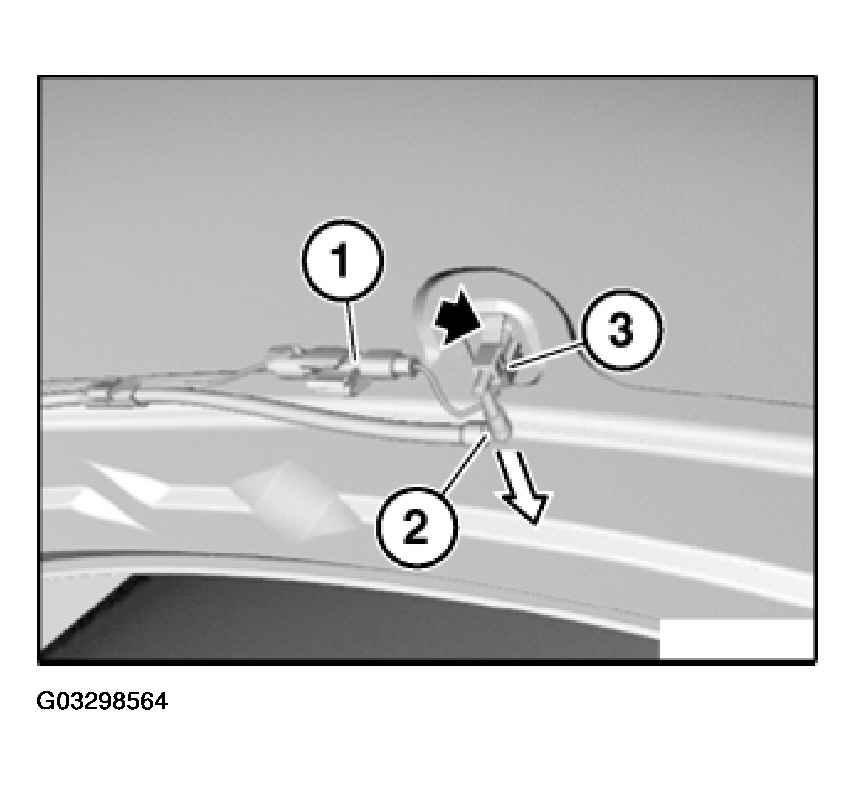 G03298564