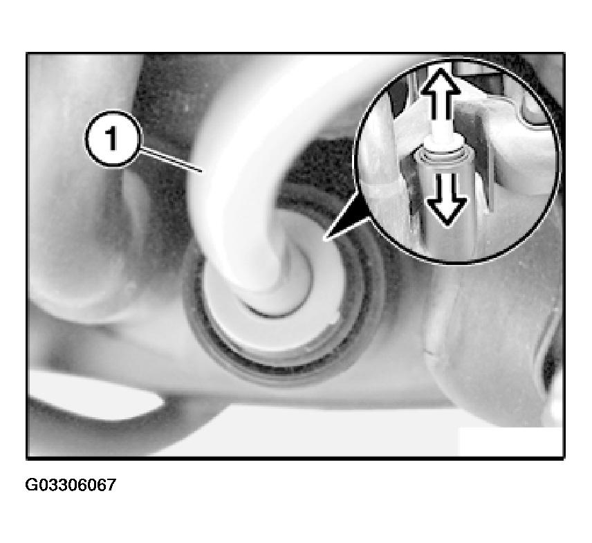 G03306067