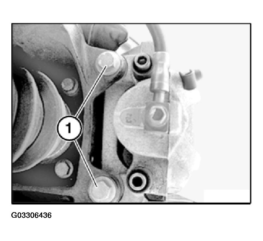 G03306436