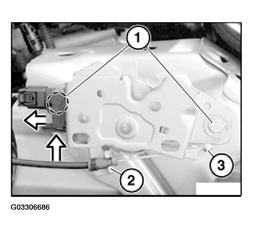 G03306686