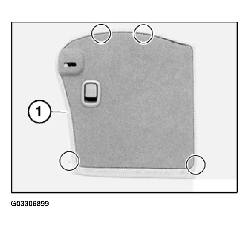 G03306899
