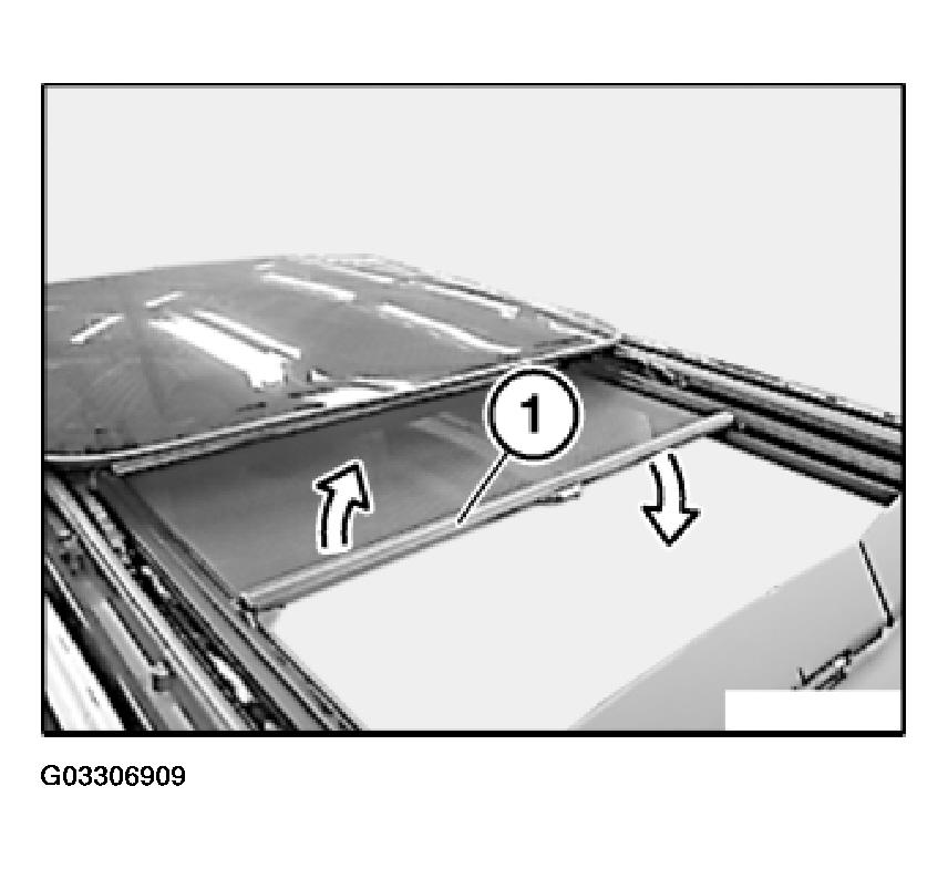 G03306909