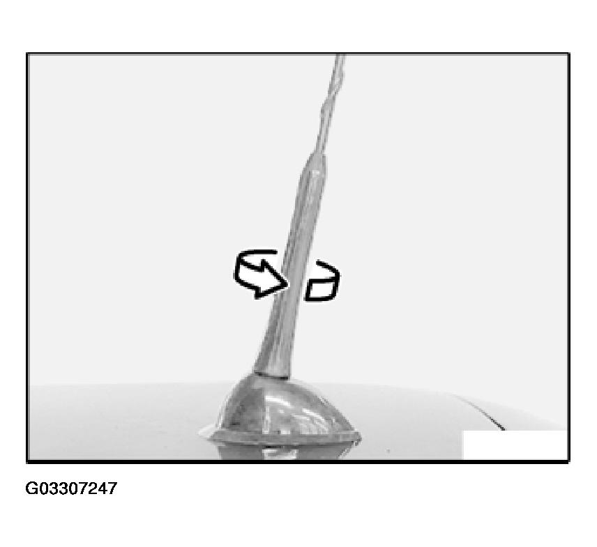 G03307247