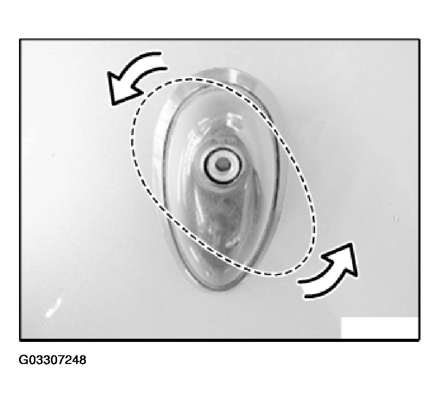 G03307248