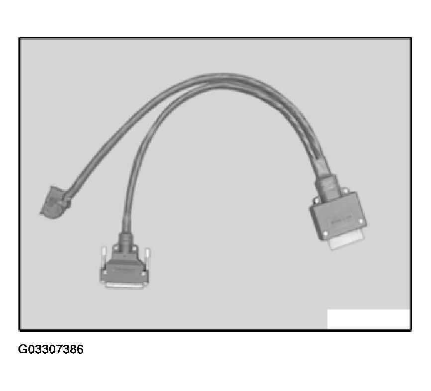 G03307386