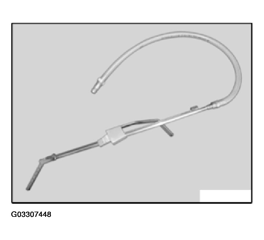 G03307448