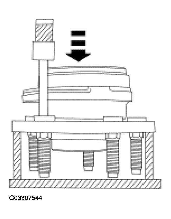 G03307544