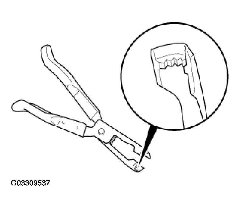 G03309537