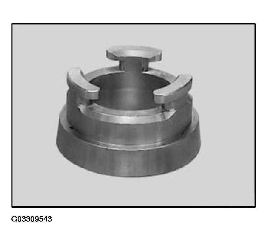 G03309543