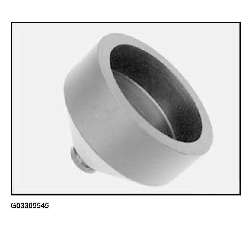 G03309545